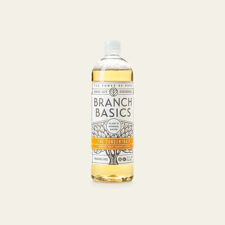 Branch Basics The Concentrate